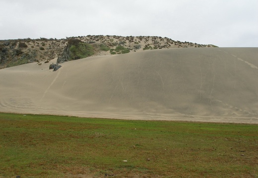 P1018388