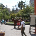 P1018409