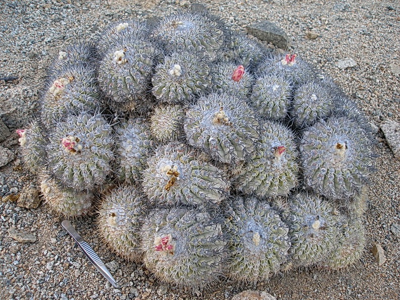 167.JPG