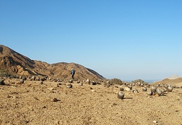 Чили, Аргентина