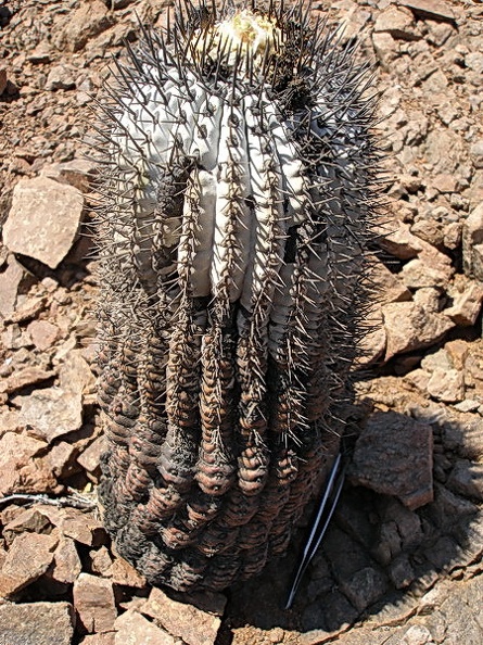 179.jpg