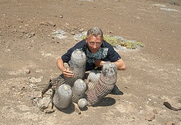 Чили, Аргентина