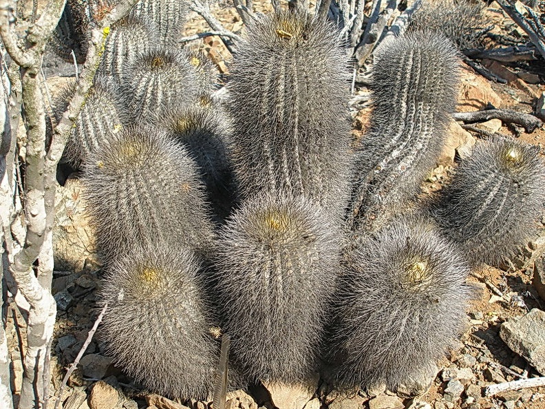 185.JPG