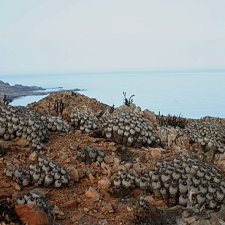 Чили, Аргентина