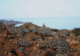 Чили, Аргентина