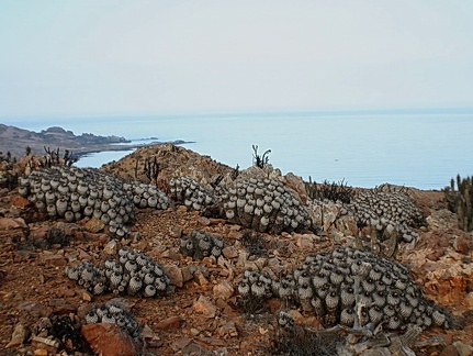 Чили, Аргентина