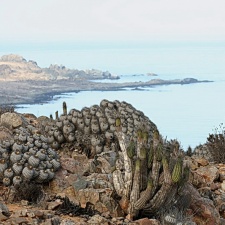 Чили, Аргентина