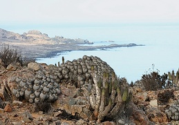 Чили, Аргентина