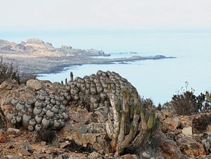Чили, Аргентина