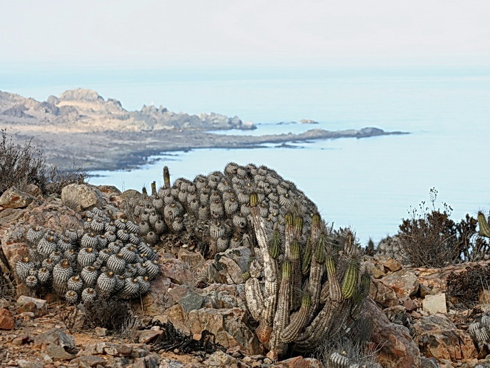 Чили, Аргентина