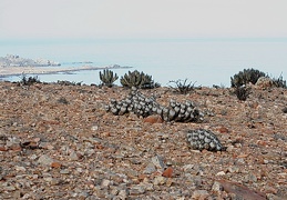 Чили, Аргентина