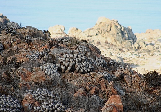 Чили, Аргентина