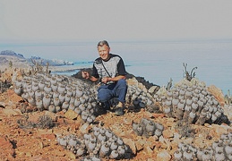 Чили, Аргентина