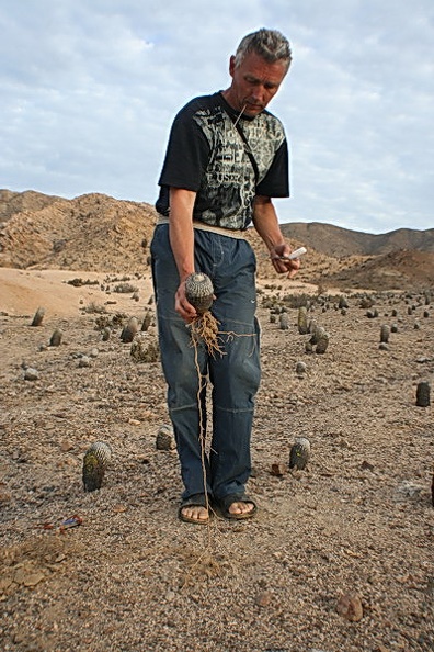 231.JPG
