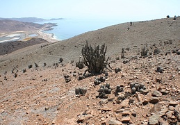 Чили, Аргентина