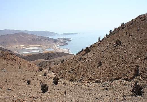 Чили, Аргентина