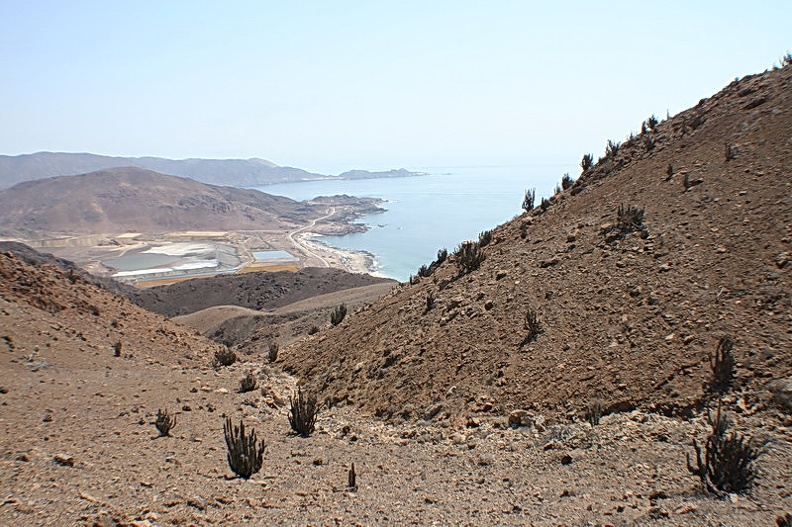 253.JPG