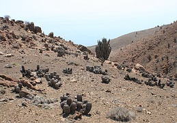 Чили, Аргентина
