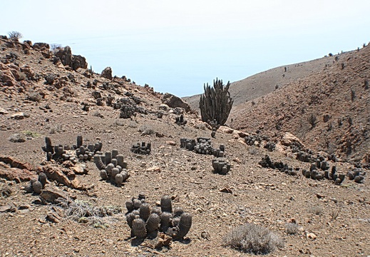 Чили, Аргентина