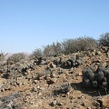 Чили, Аргентина