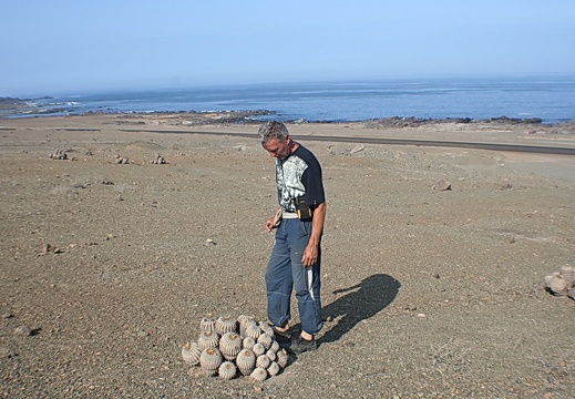 Чили, Аргентина