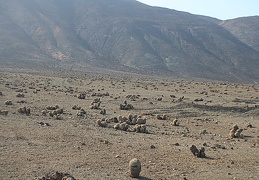 Чили, Аргентина