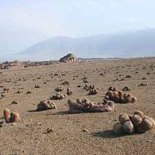 Чили, Аргентина