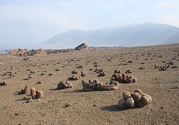 Чили, Аргентина