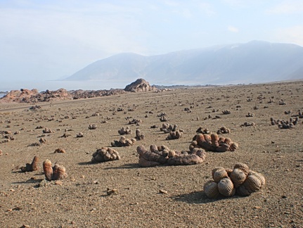 Чили, Аргентина