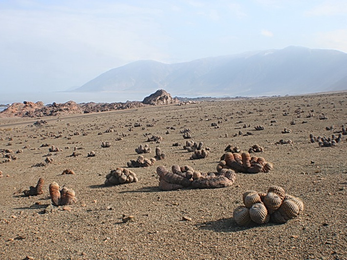 Чили, Аргентина