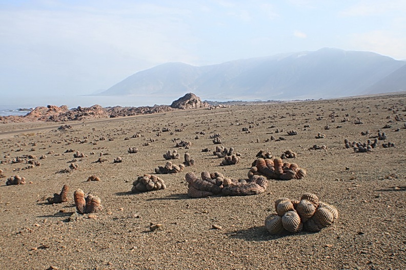 268.JPG