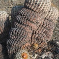 Чили, Аргентина