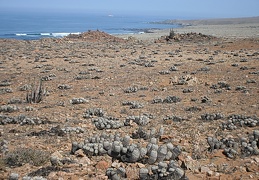 Чили, Аргентина