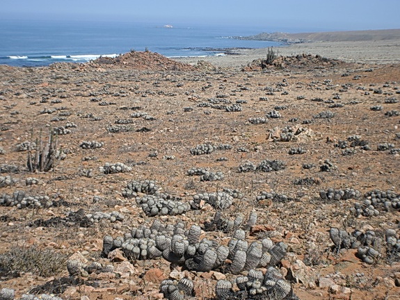 Чили, Аргентина