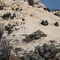 Чили, Аргентина