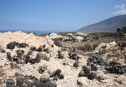Чили, Аргентина