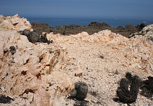 Чили, Аргентина