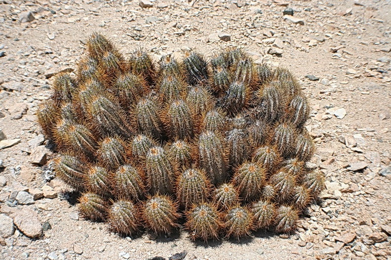 296.JPG