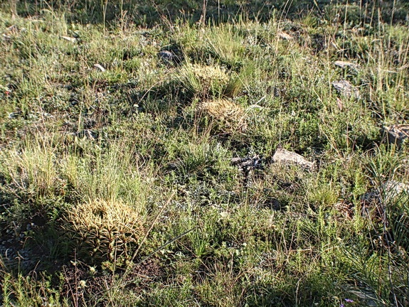 Чили, Аргентина