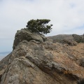 IMG_0511.JPG