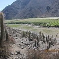 IMG_0728.JPG