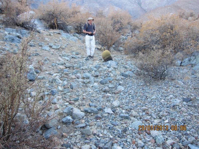 IMG_0779.JPG