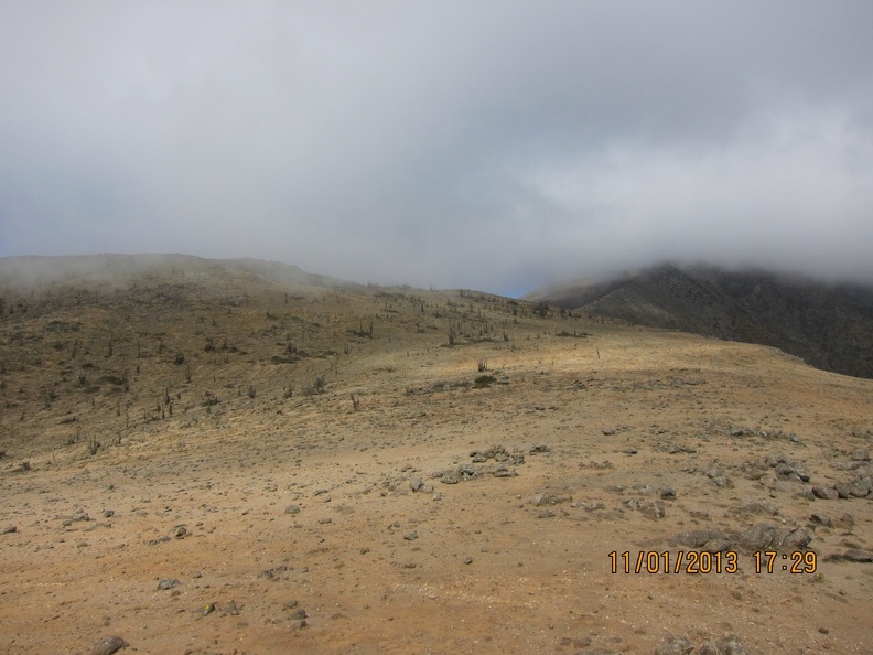 IMG_1563.JPG