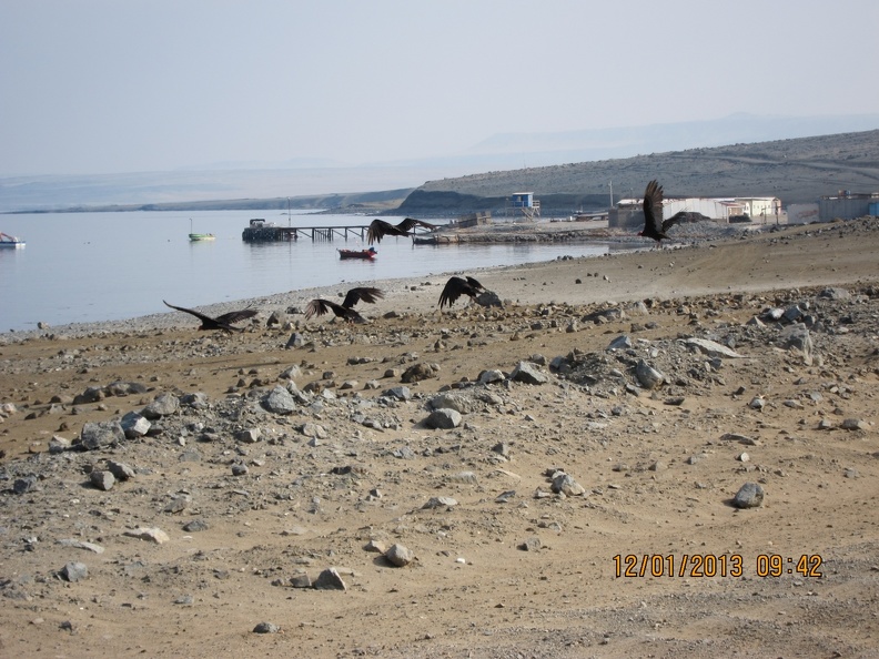 IMG_1598.JPG
