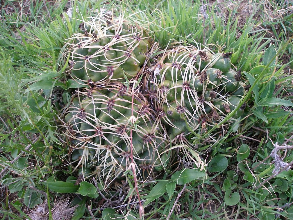 P1015791