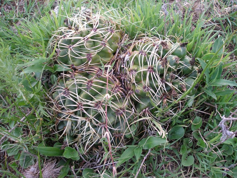 P1015791