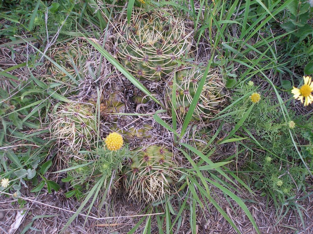 P1015800