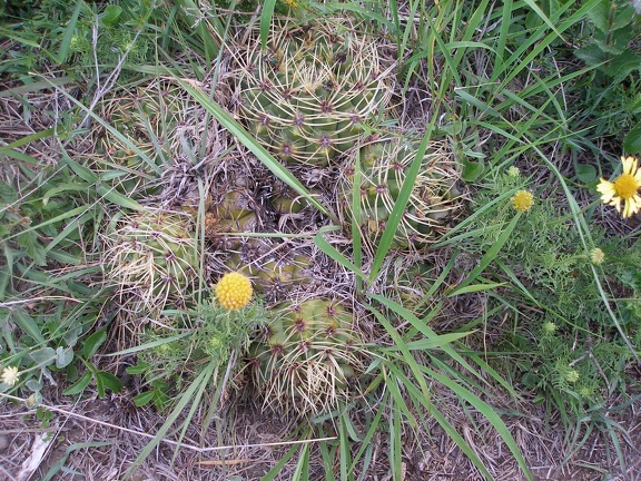 P1015800