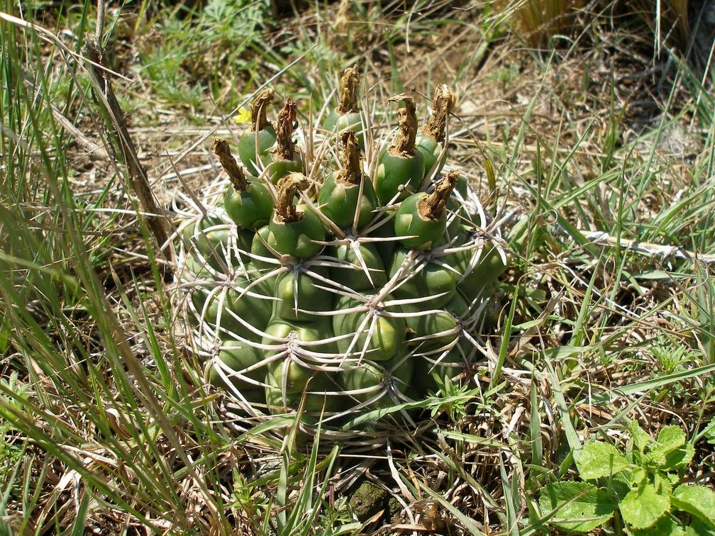 P1015805