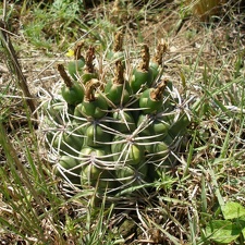 P1015805